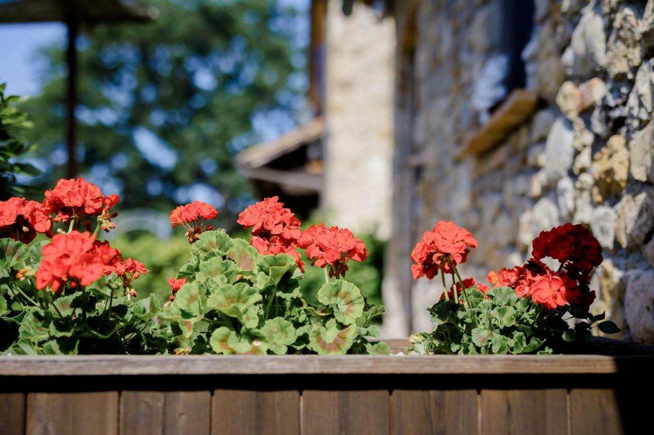 Villa Loghino Volterra Exterior foto